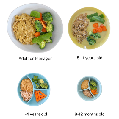 selection of plates of foods in different sizes based on age of child