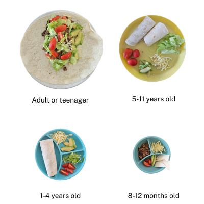 selection of plates of foods in different sizes based on age of child